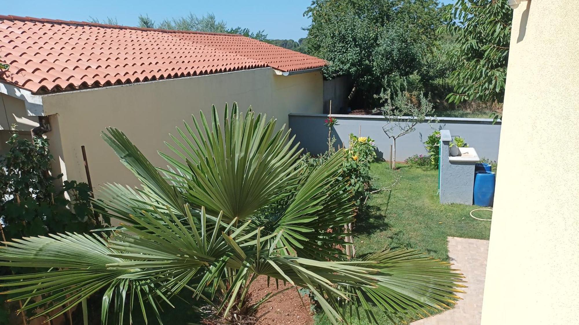 Monte Magno Apartman Póla