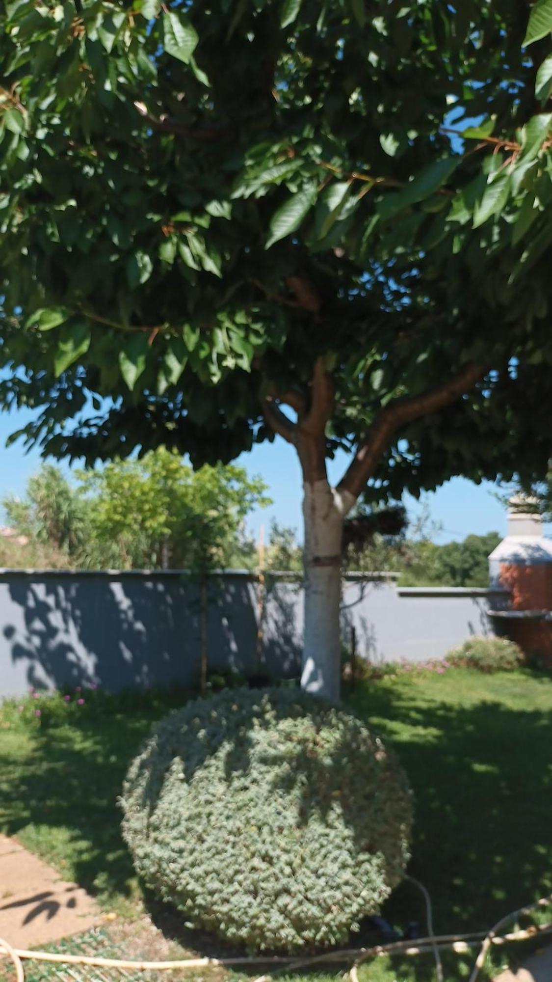 Apartman Monte Magno *