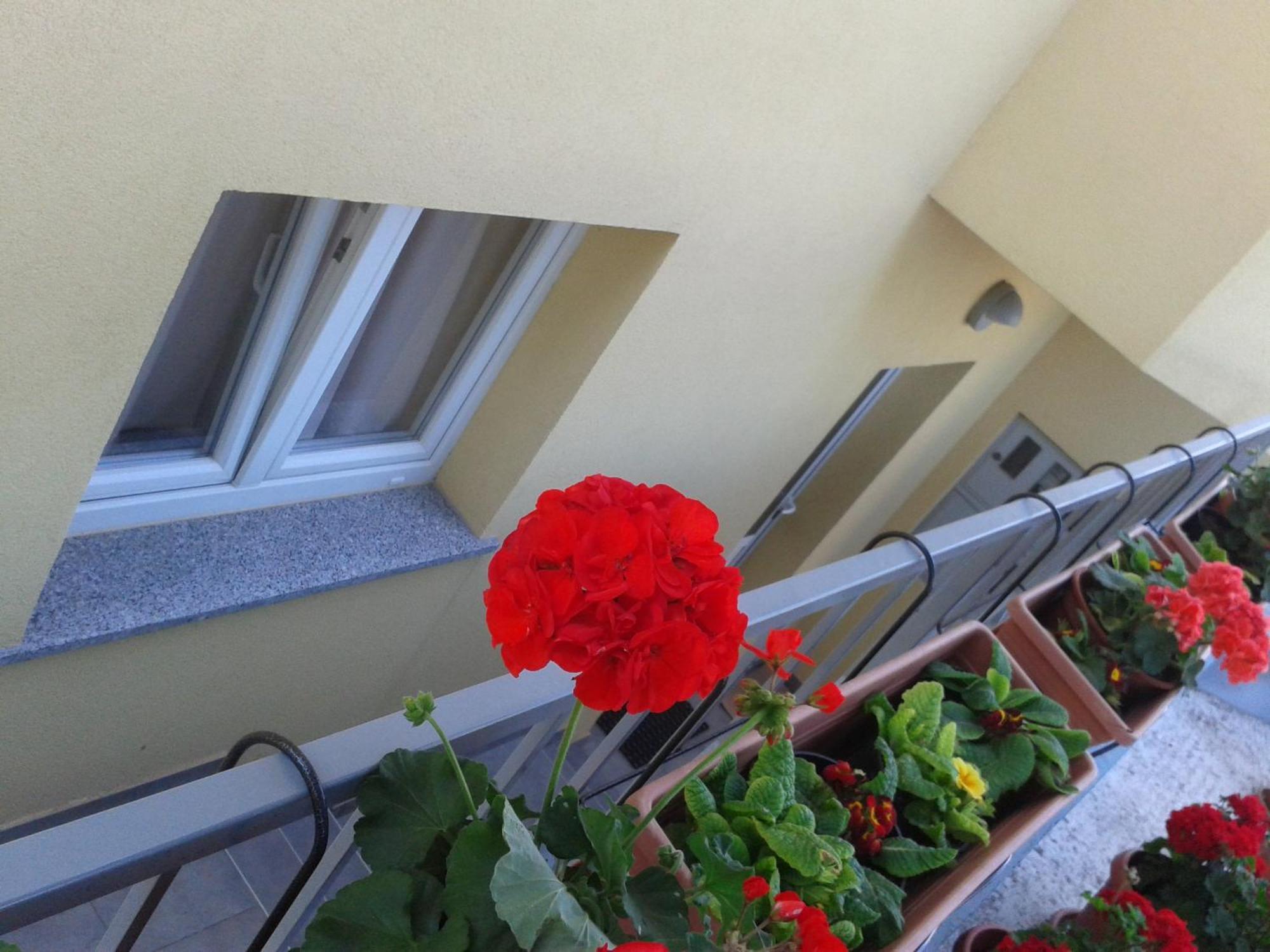 Monte Magno Apartman Póla